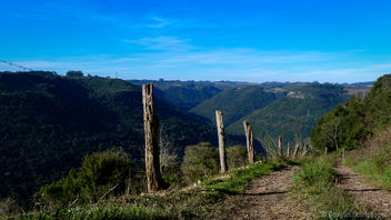 Road to the South - Kostenloses image #296901